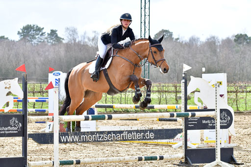 Reitsportzentrum Bremervörde | 070421 Springpferde L  2 _46 