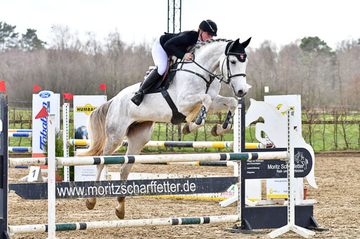 Reitsportzentrum Bremervörde | 070421 Springpferde L  2 _80 