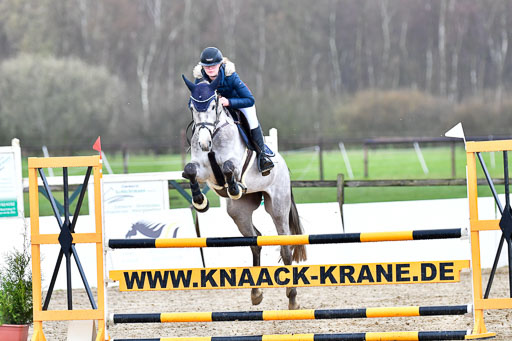 Reitsportzentrum Bremervörde | 070421 Springpferde L 