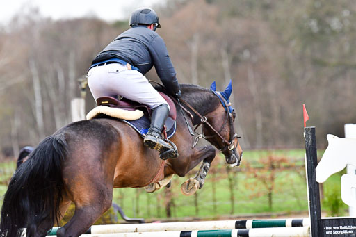 Reitsportzentrum Bremervörde | 070421 Springpferde L_007 