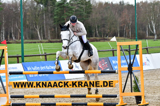 Reitsportzentrum Bremervörde | 070421 Springpferde L_013 