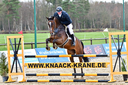 Reitsportzentrum Bremervörde | 070421 Springpferde L_019 