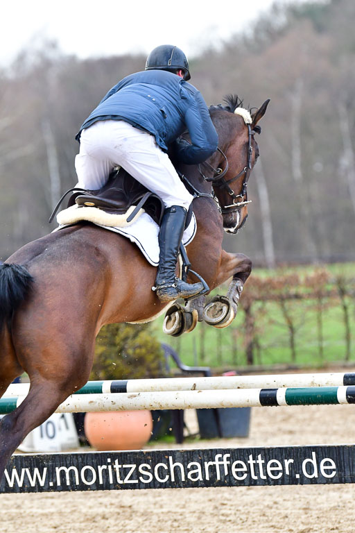 Reitsportzentrum Bremervörde | 070421 Springpferde L_020 