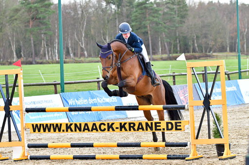 Reitsportzentrum Bremervörde | 070421 Springpferde L_025 