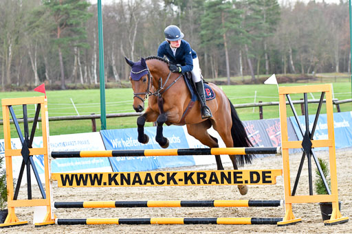 Reitsportzentrum Bremervörde | 070421 Springpferde L_026 