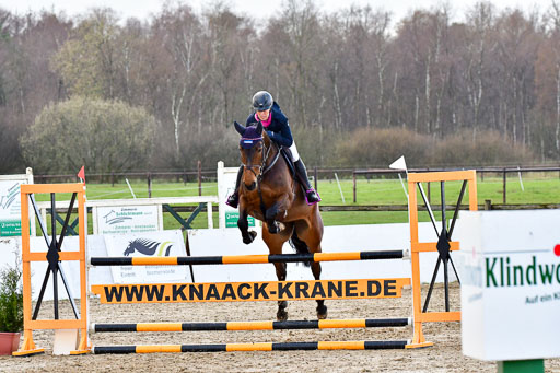 Reitsportzentrum Bremervörde | 070421 Springpferde L_039 