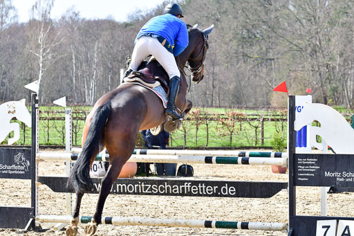 Reitsportzentrum Bremervörde | 070421 Springpferde L_048 