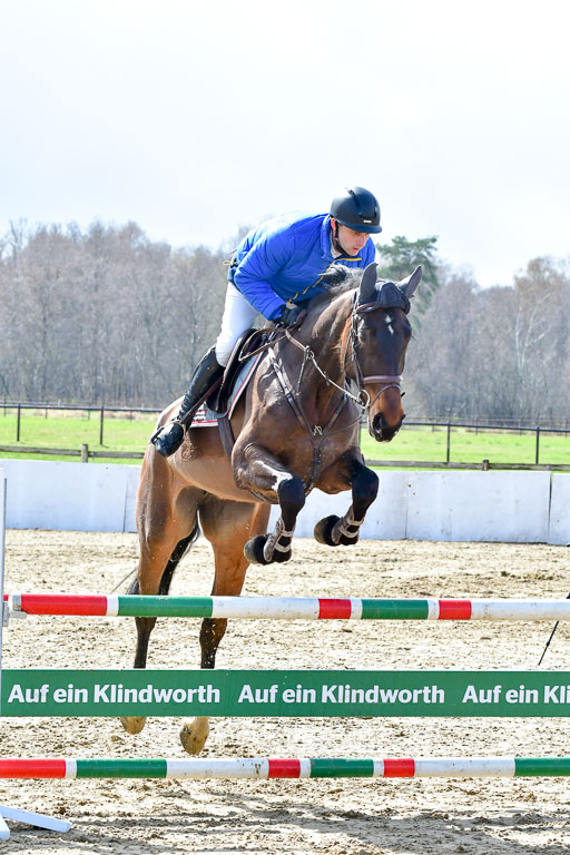 Reitsportzentrum Bremervörde | 070421 Springpferde L_049 
