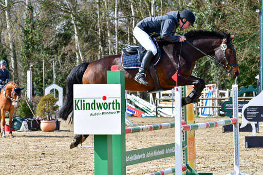 Reitsportzentrum Bremervörde | 070421 Springpferde L_054 