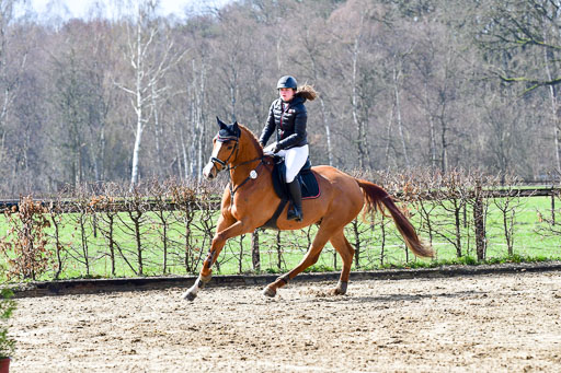Reitsportzentrum Bremervörde | 070421 Springpferde L_055 