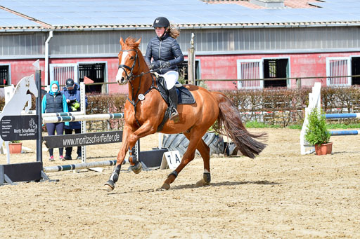 Reitsportzentrum Bremervörde | 070421 Springpferde L_058 