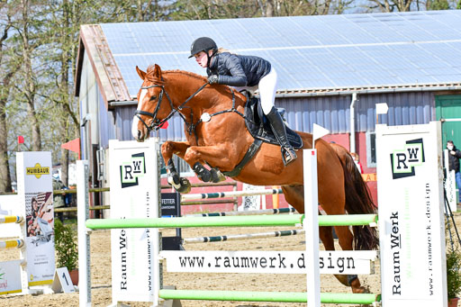 Reitsportzentrum Bremervörde | 070421 Springpferde L_059 