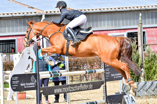 Reitsportzentrum Bremervörde | 070421 Springpferde L_060 