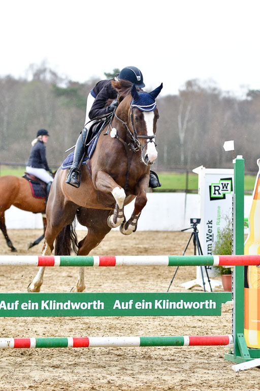 Reitsportzentrum Bremervörde | 070421 Springpferde L_064 