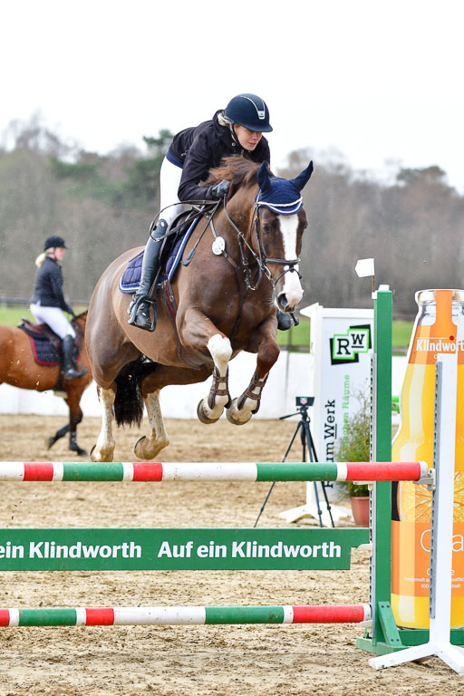 Reitsportzentrum Bremervörde | 070421 Springpferde L_065 