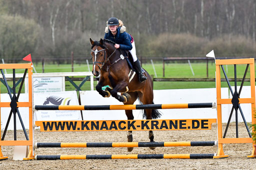 Reitsportzentrum Bremervörde | 070421 Springpferde L_066 