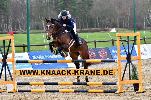 Reitsportzentrum Bremervörde | 070421 Springpferde L_067 