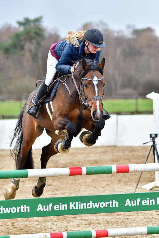 Reitsportzentrum Bremervörde | 070421 Springpferde L_070 