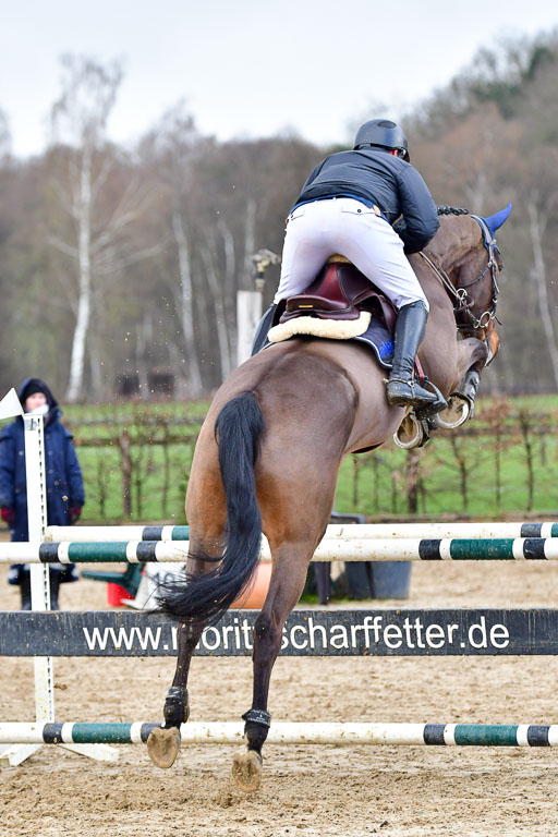 Reitsportzentrum Bremervörde | 070421 Springpferde L_072 