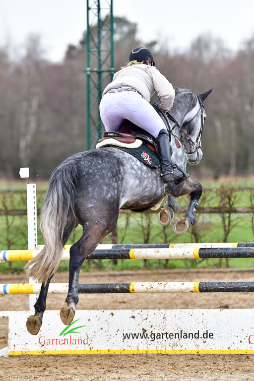 Reitsportzentrum Bremervörde | 070421 Springpferde L_075 