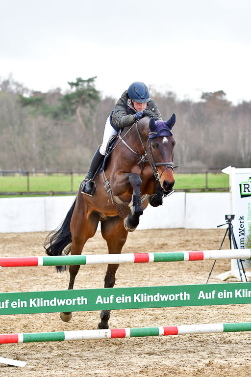 Reitsportzentrum Bremervörde | 070421 Springpferde L_084 