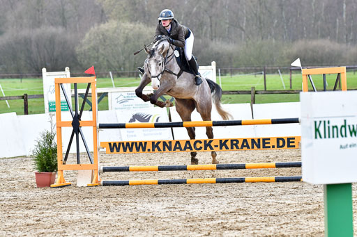 Reitsportzentrum Bremervörde | 070421 Springpferde L_085 