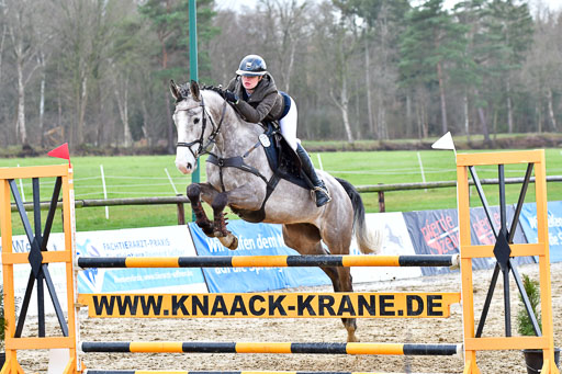 Reitsportzentrum Bremervörde | 070421 Springpferde L_087 