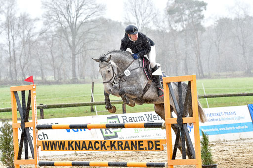 Reitsportzentrum Bremervörde | 070421 Springpferde L_104 