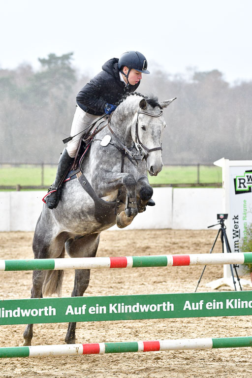 Reitsportzentrum Bremervörde | 070421 Springpferde L_106 