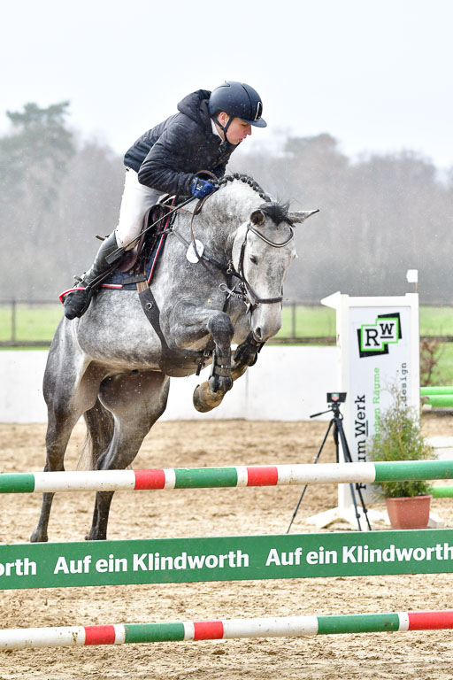 Reitsportzentrum Bremervörde | 070421 Springpferde L_107 