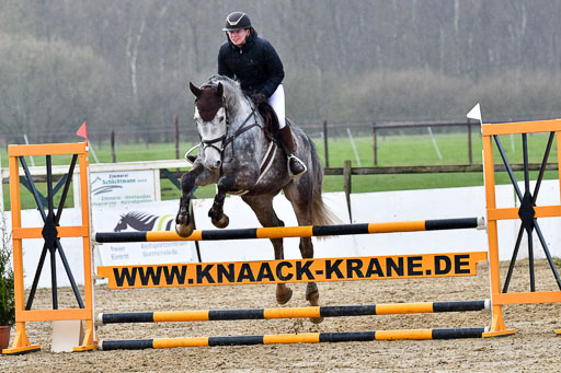 Reitsportzentrum Bremervörde | 070421 Springpferde L_109 