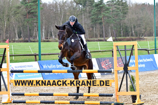 Reitsportzentrum Bremervörde | 070421 Springpferde L_116 