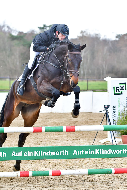 Reitsportzentrum Bremervörde | 070421 Springpferde L_119 