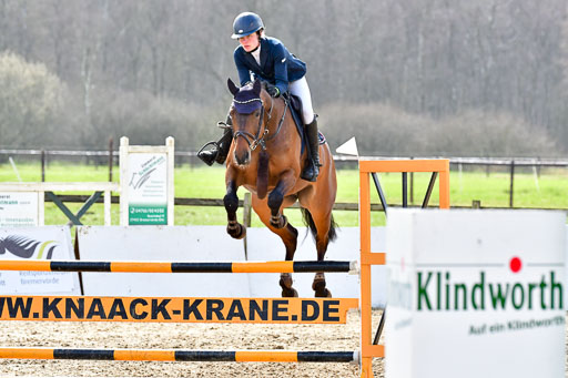 Reitsportzentrum Bremervörde | 070421 Springpferde L_120 