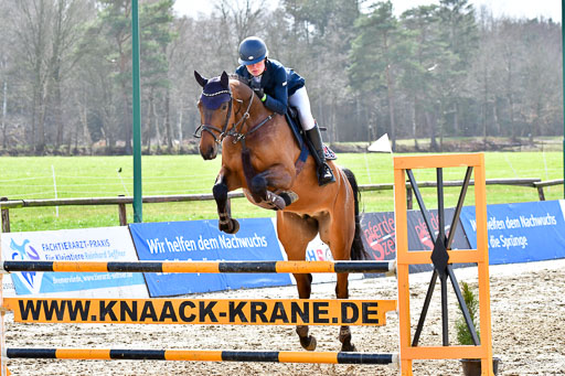 Reitsportzentrum Bremervörde | 070421 Springpferde L_121 