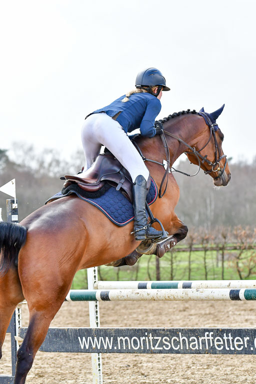 Reitsportzentrum Bremervörde | 070421 Springpferde L_124 