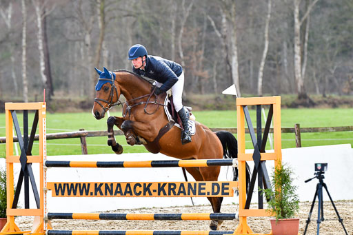 Reitsportzentrum Bremervörde | 070421 Springpferde L_125 