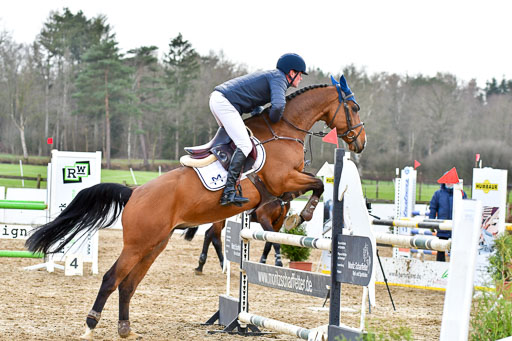 Reitsportzentrum Bremervörde | 070421 Springpferde L_129 