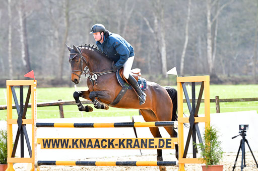 Reitsportzentrum Bremervörde | 070421 Springpferde L_132 