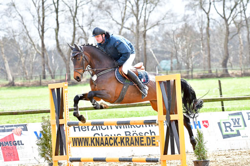 Reitsportzentrum Bremervörde | 070421 Springpferde L_133 