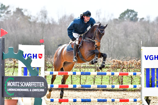 Reitsportzentrum Bremervörde | 070421 Springpferde L_134 