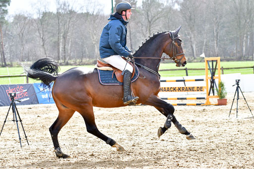 Reitsportzentrum Bremervörde | 070421 Springpferde L_135 