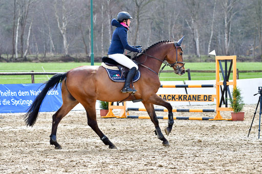 Reitsportzentrum Bremervörde | 070421 Springpferde L_137 