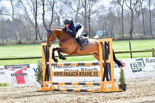 Reitsportzentrum Bremervörde | 070421 Springpferde L_139 