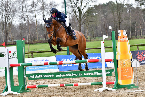 Reitsportzentrum Bremervörde | 070421 Springpferde L_141 