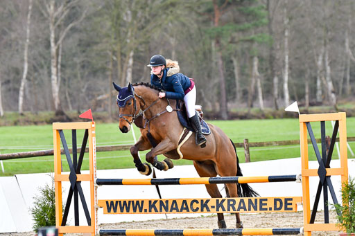 Reitsportzentrum Bremervörde | 070421 Springpferde L_142 