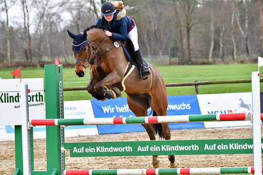 Reitsportzentrum Bremervörde | 070421 Springpferde L_145 
