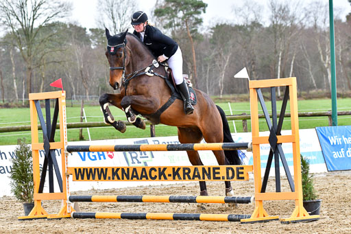 Reitsportzentrum Bremervörde | 070421 Springpferde L_149 