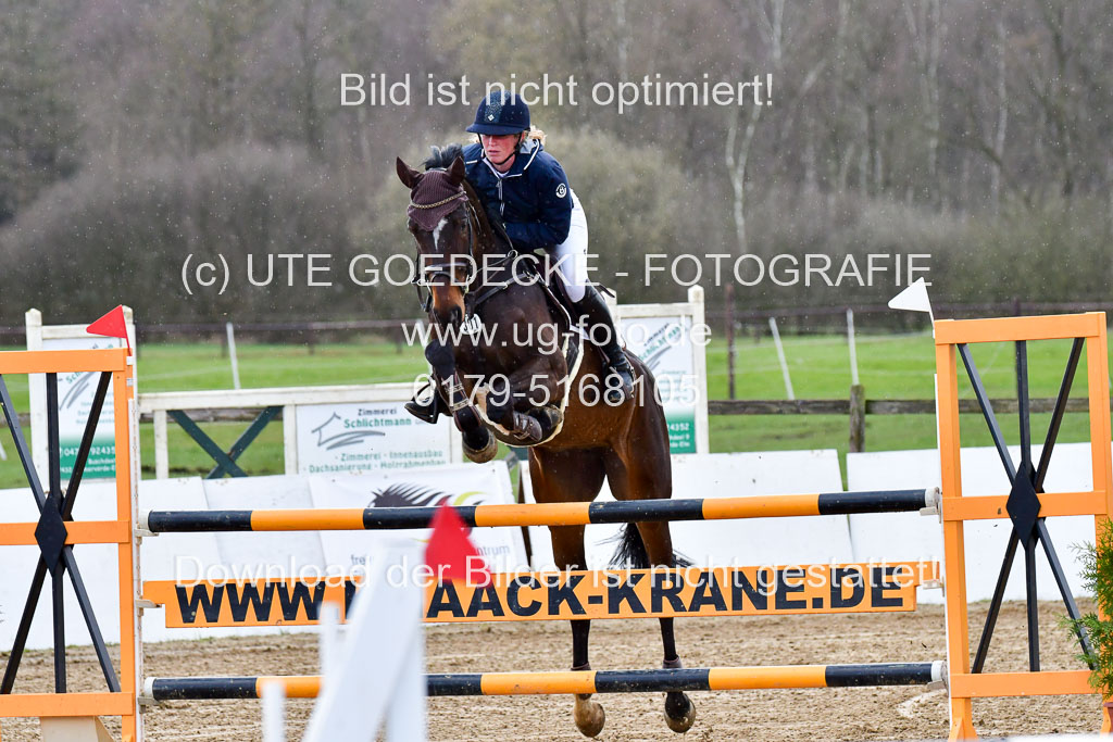 Reitsportzentrum Bremervörde | 070421 Springpferde M_13 