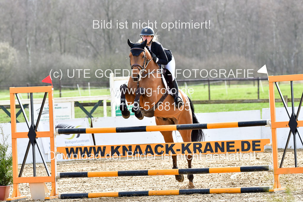 Reitsportzentrum Bremervörde | 070421 Springpferde M_31 